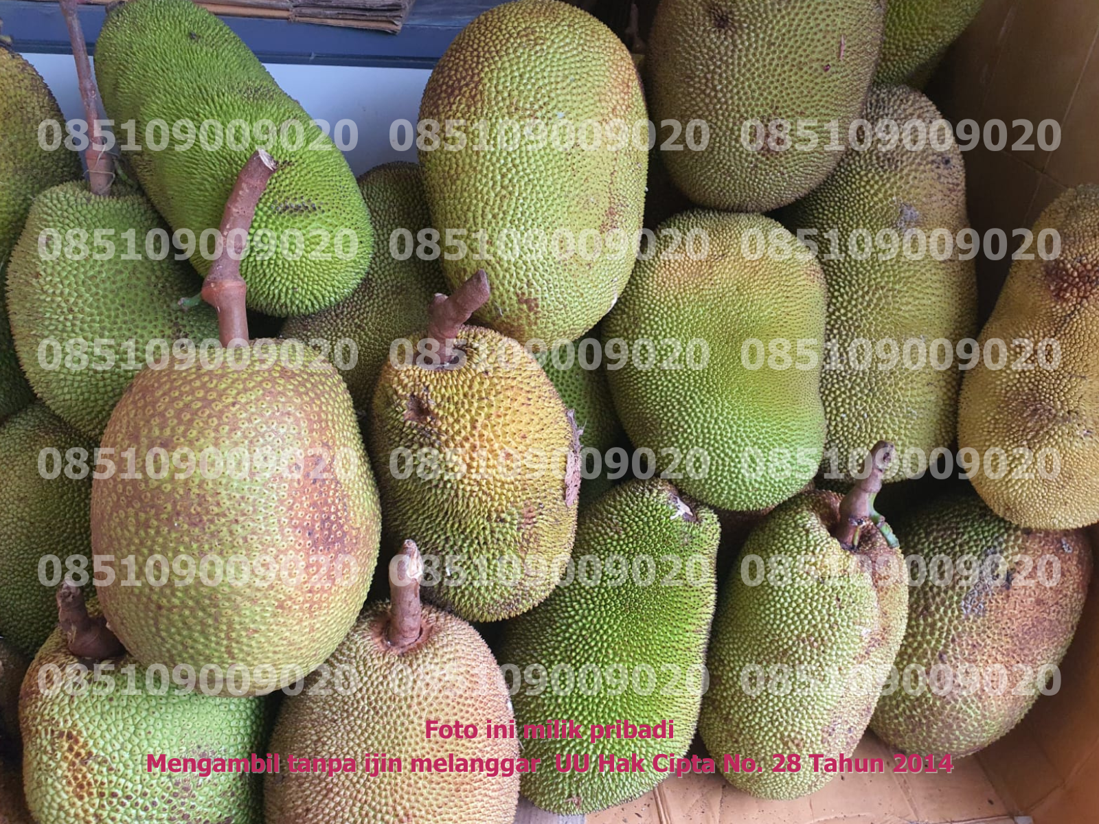 Penerimaan Bahan Baku 1