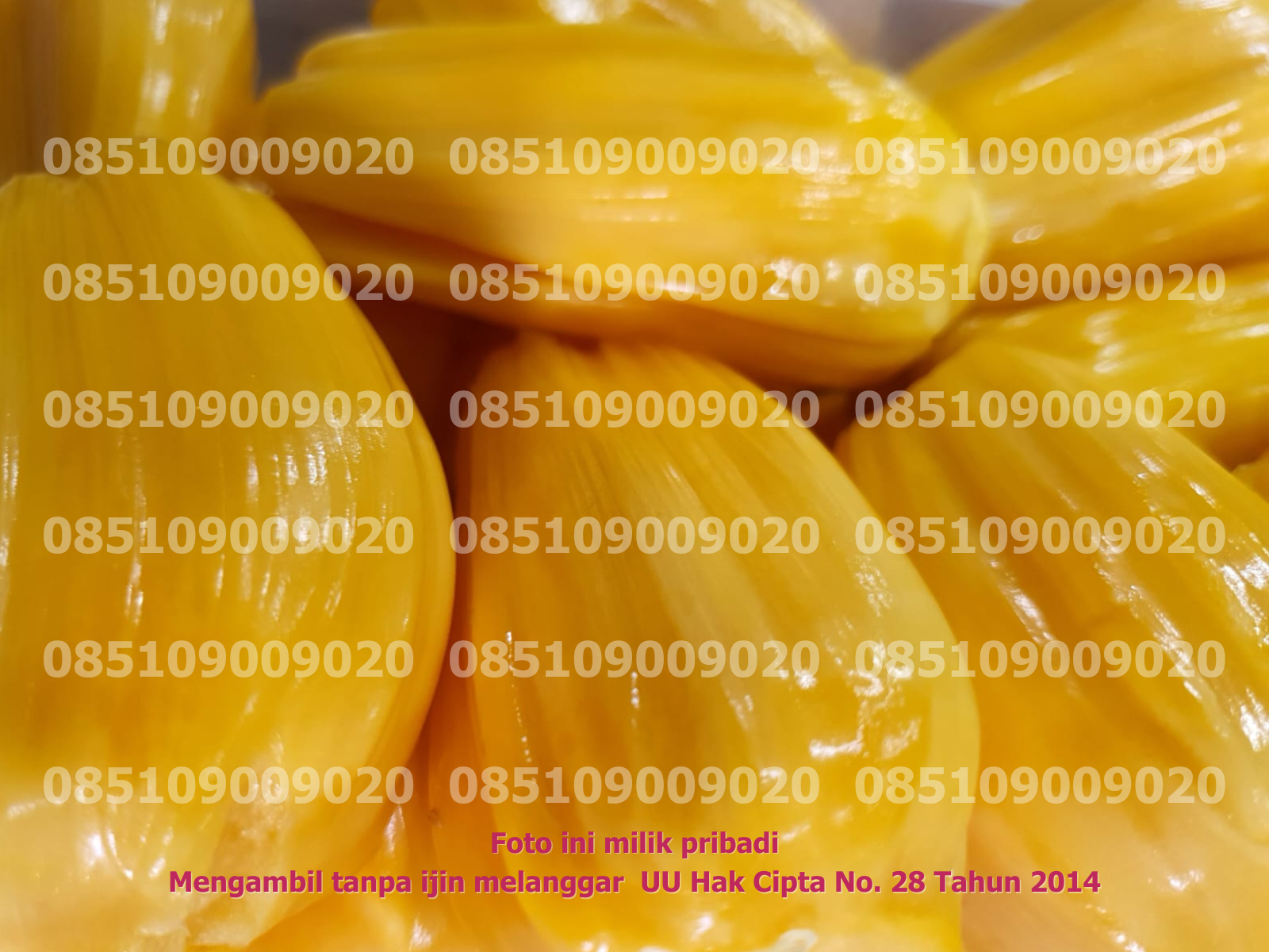 Nangka Dikupas 2