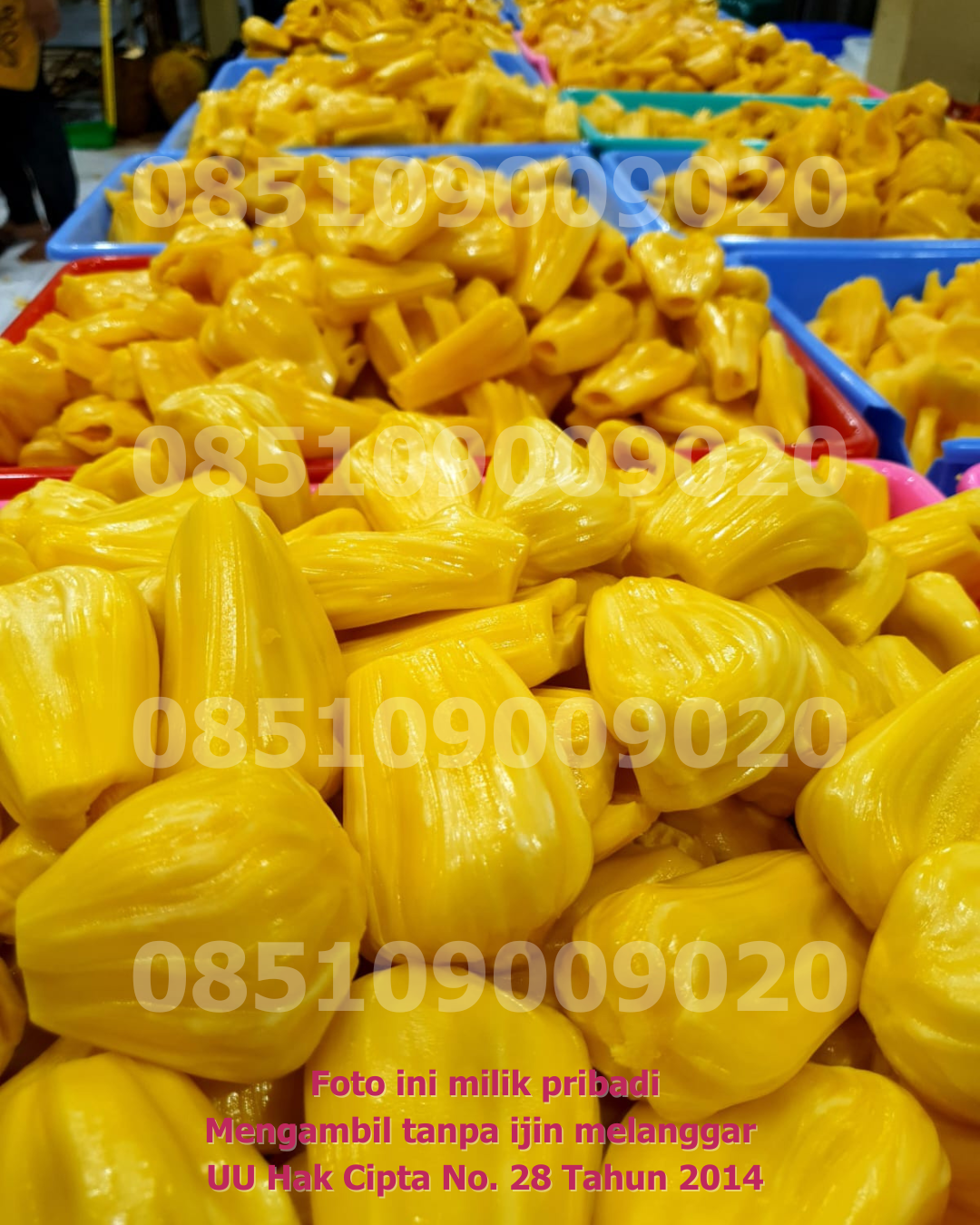 Nangka Dikupas 3