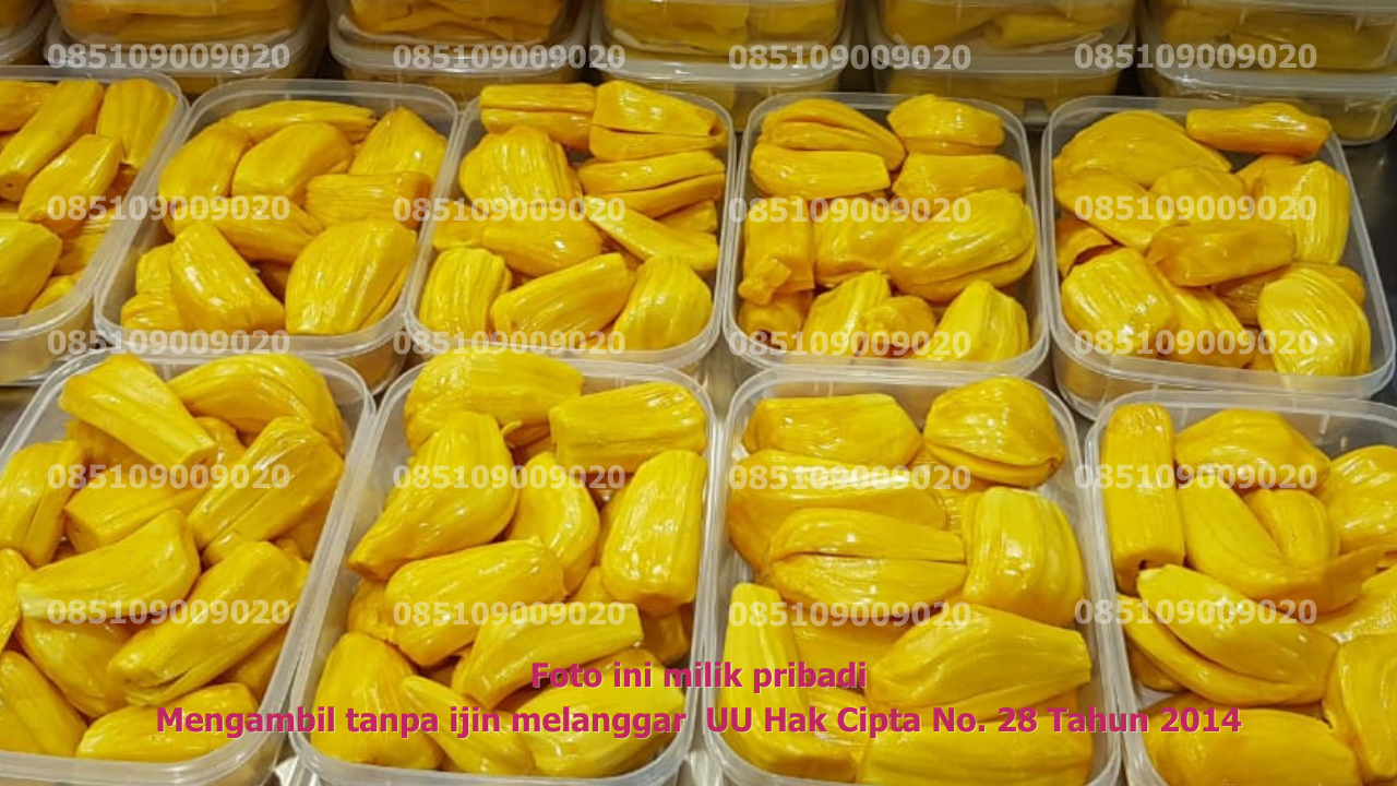Kemasan Mika Banyak