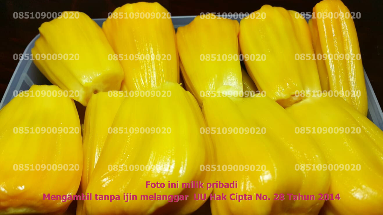 Fresh Pack Satuan