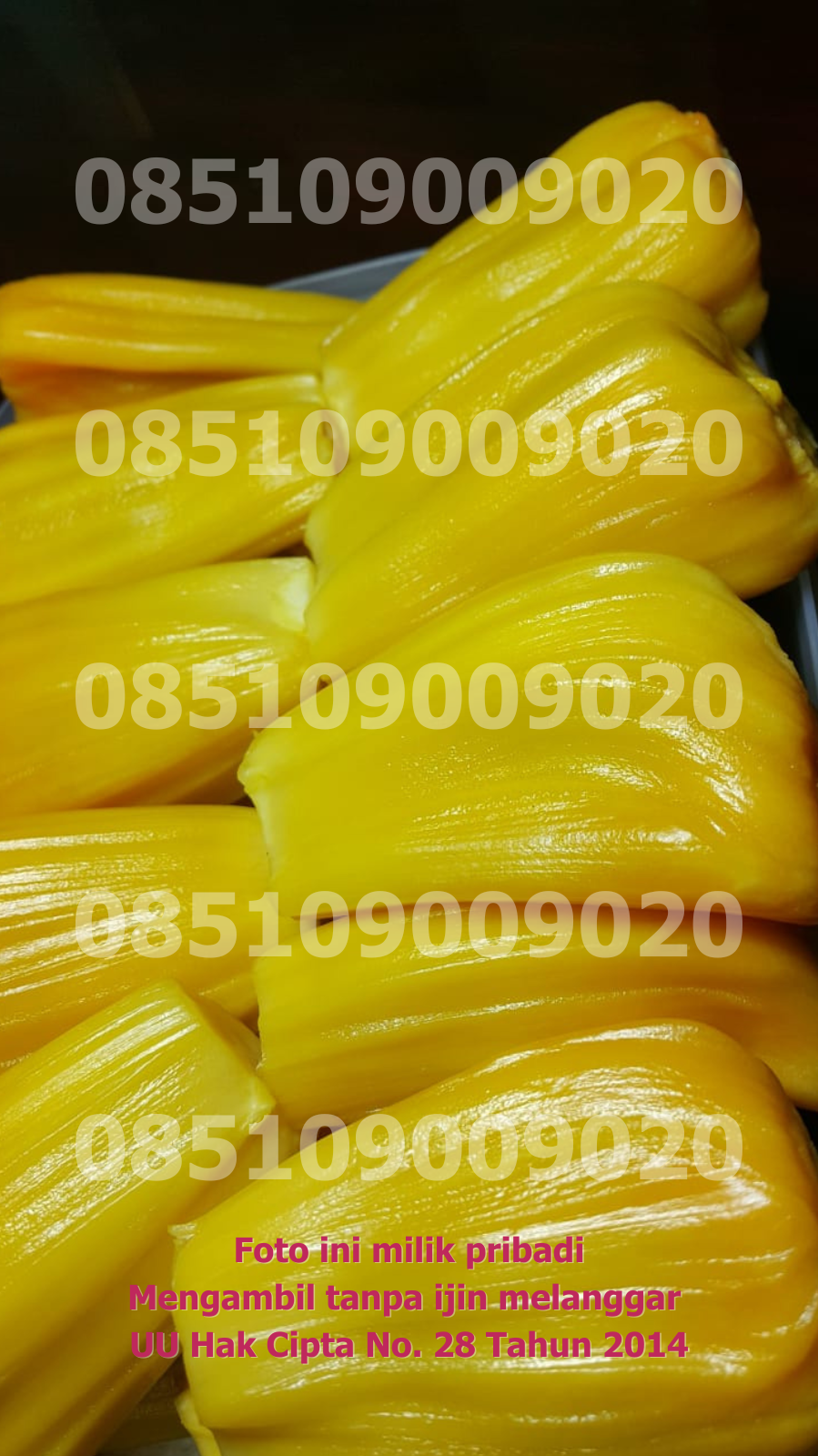 Kemasan Mika Satuan