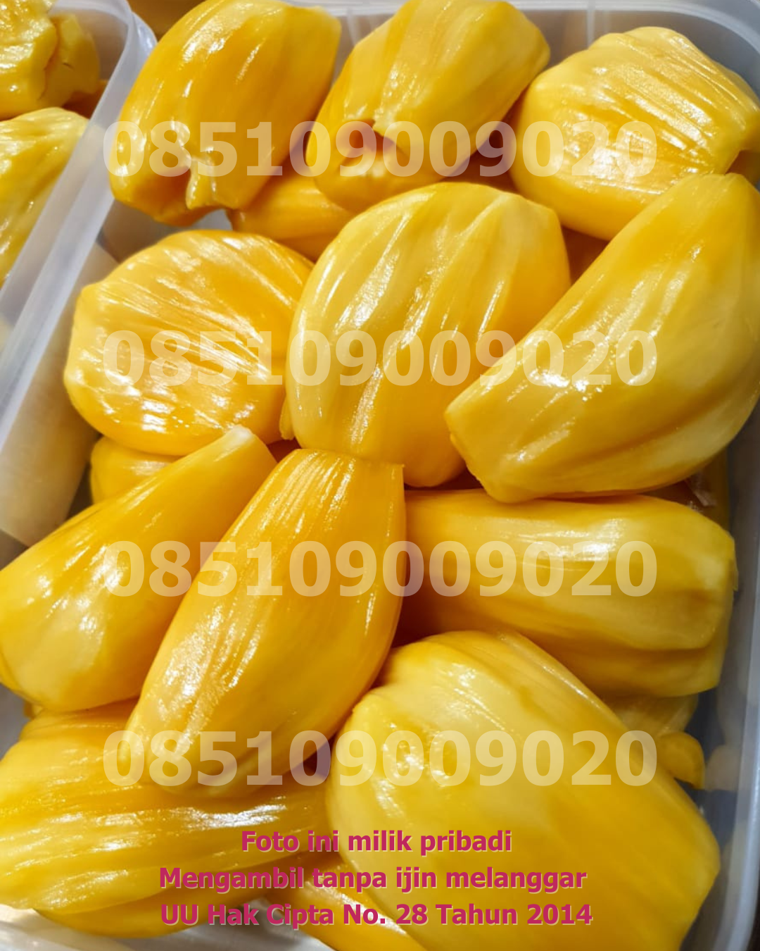 Kemasan Mika Satuan