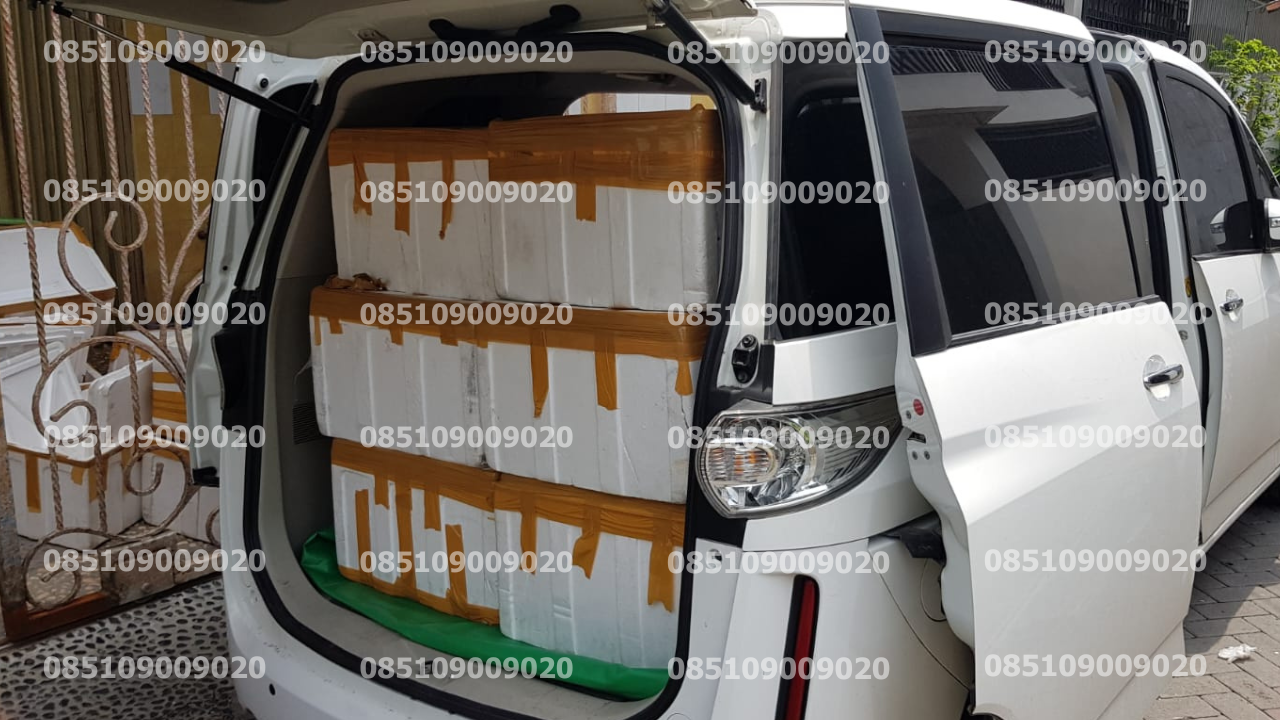 Pengangkutan Mobil 4