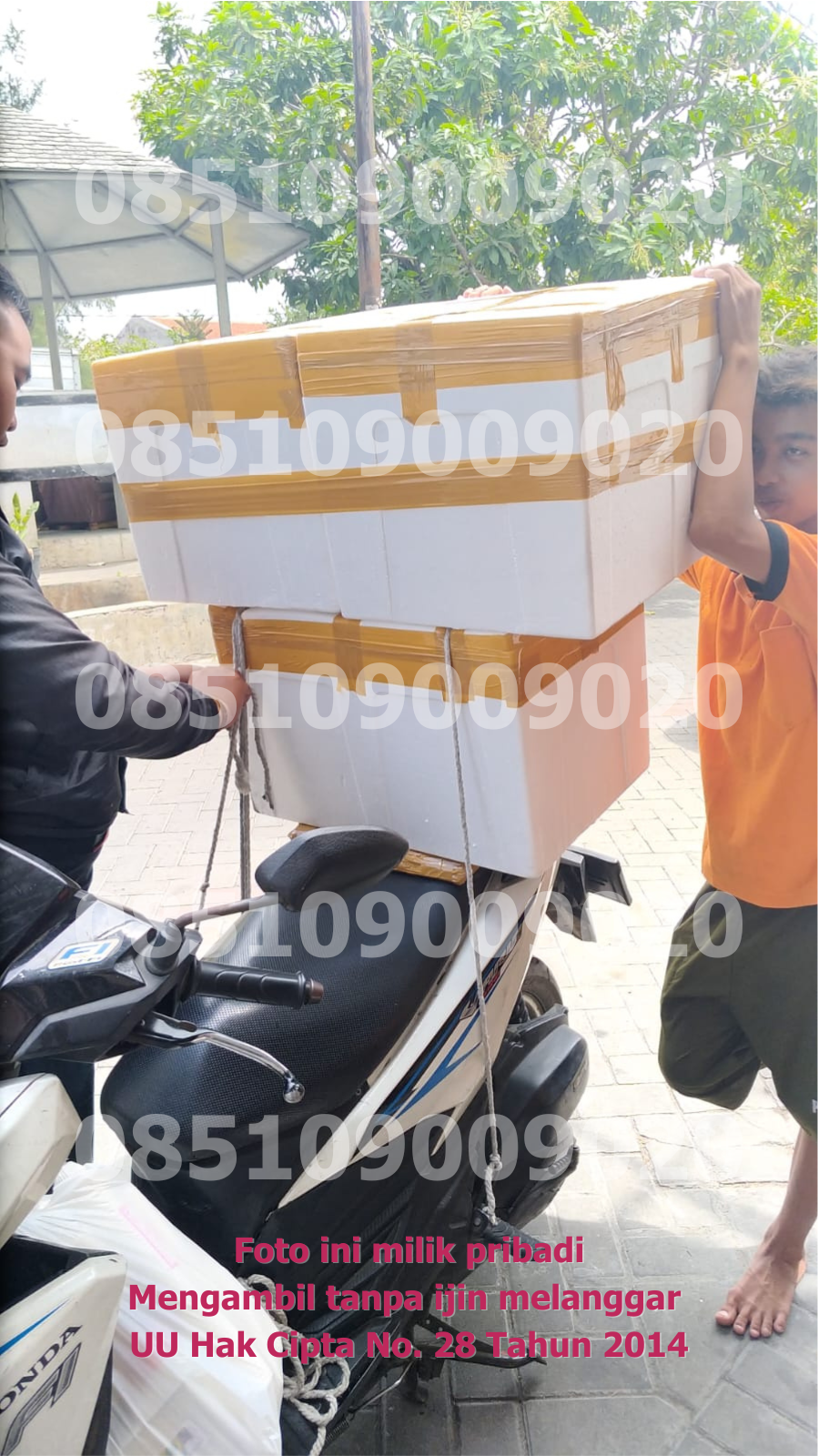 Pengangkutan Motor 1
