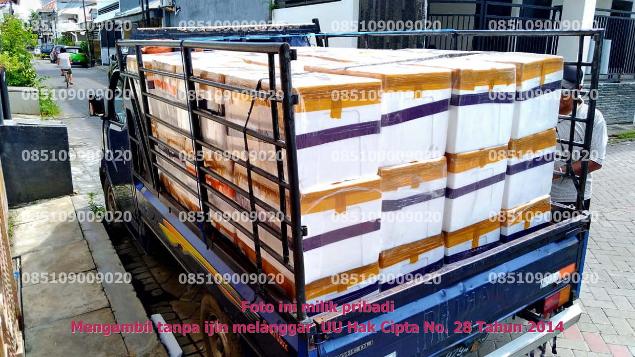Pengangkutan Pickup 1