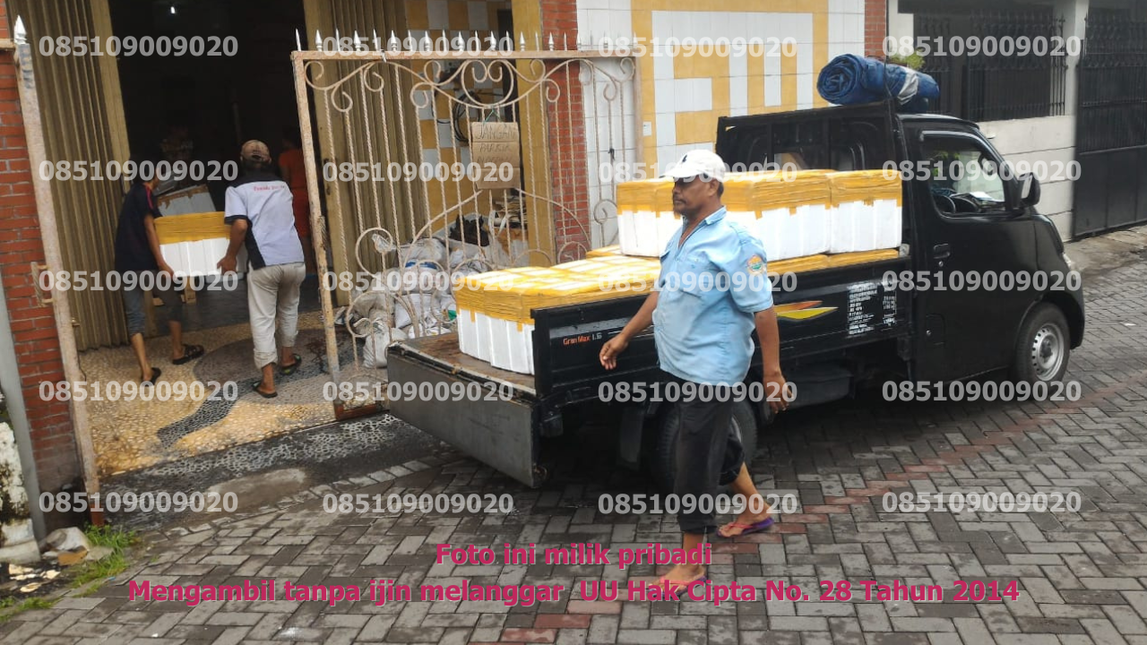 Pengangkutan Pickup