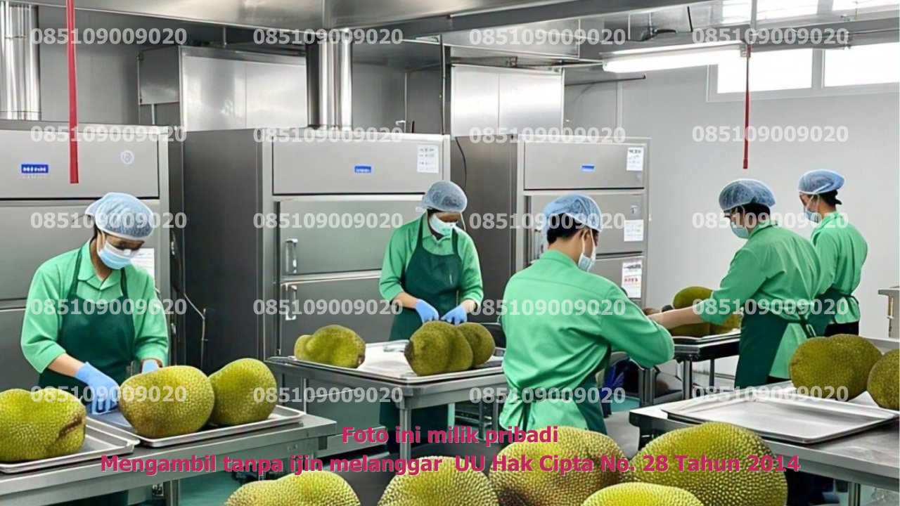 Produksi Pilih 1