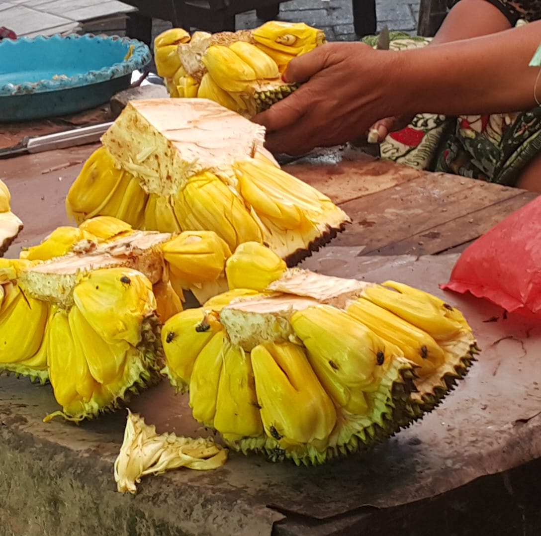 Nangka Dihinggapi Lalat