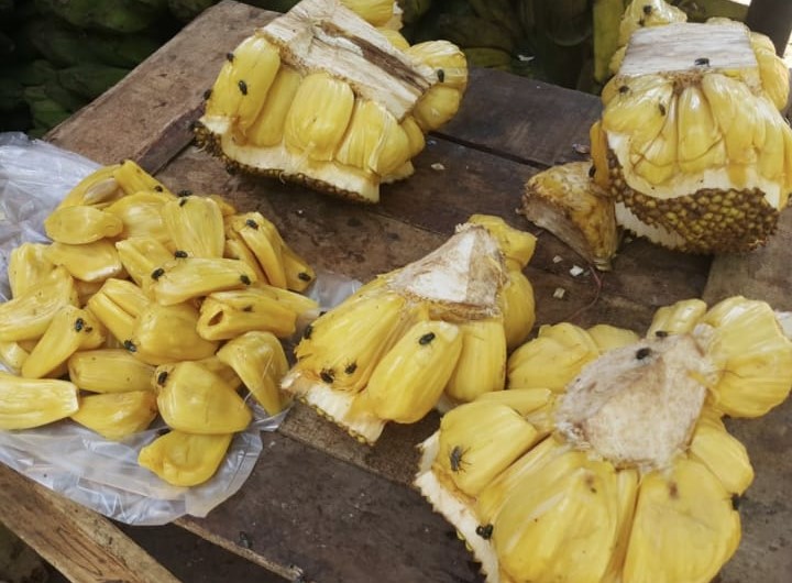 Nangka Dihinggapi Lalat