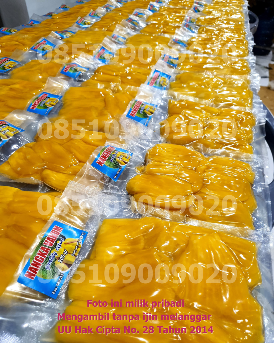 Frozen Vacuum Banyak